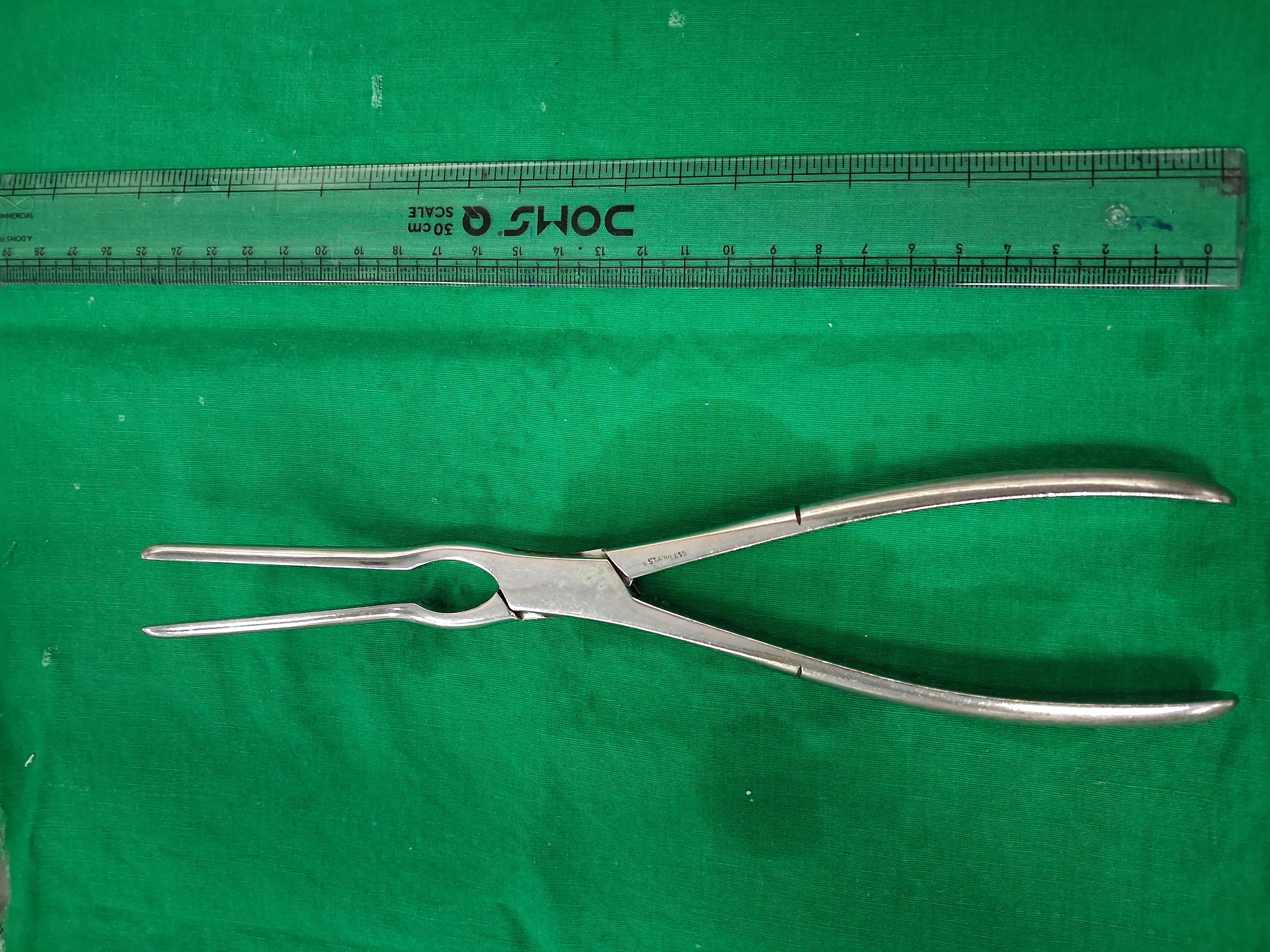 Septum Forcep